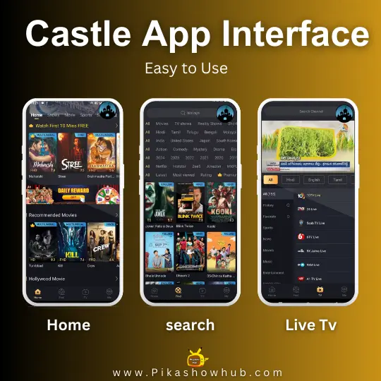 Castle app interface 2025