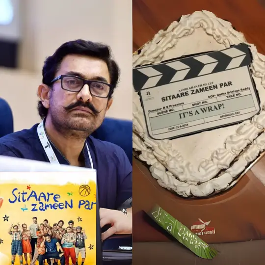 Sitaare Zameen Par Story