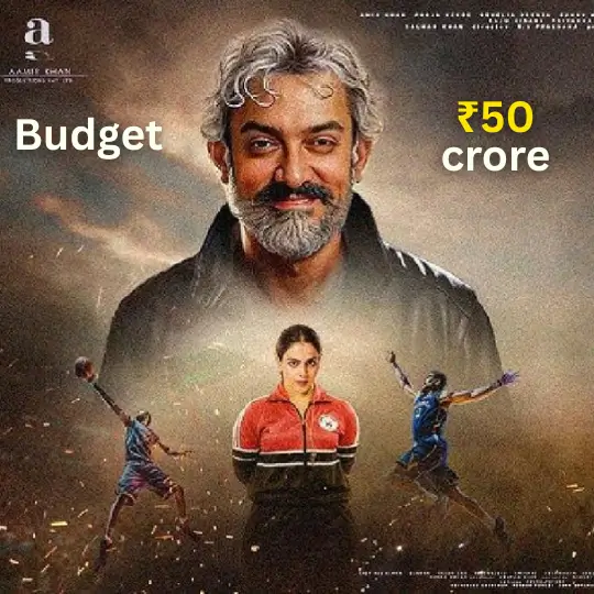 Sitaare Zameen Par Budget