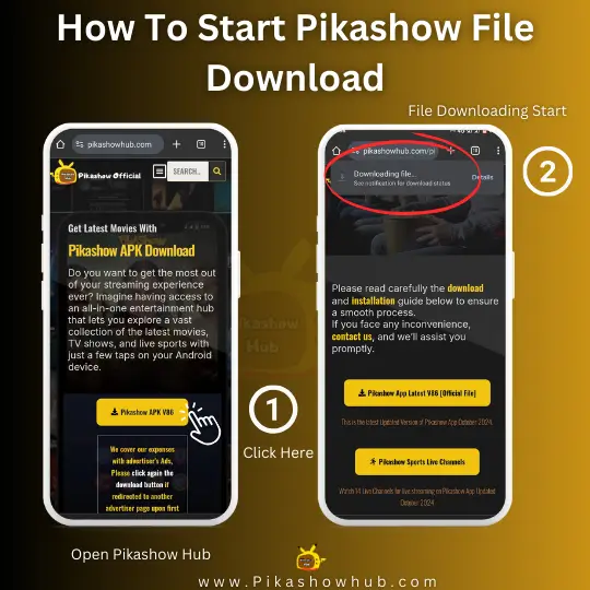 How To Download Pikashow apk